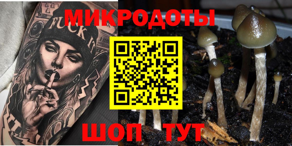 Псилоцибиновые грибы ЛСД Уссурийск